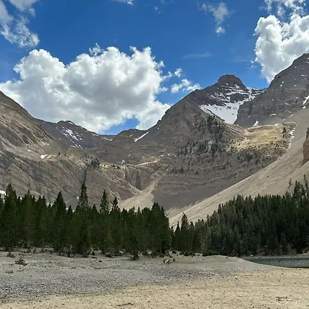 Acogedor Pineta 别尔萨