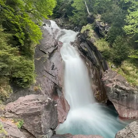 Acogedor Pineta 别尔萨