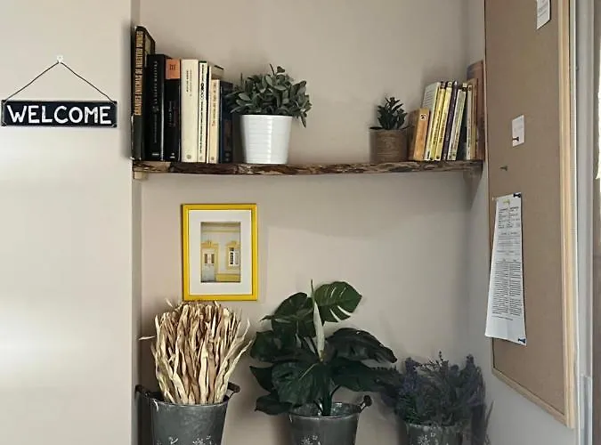 公寓 Acogedor Pineta *